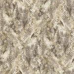 Roberto Cavalli Roberto Cavalli №9 21054