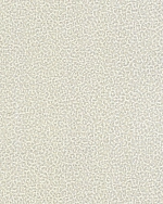 Roberto Cavalli Roberto Cavalli №8 19018