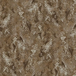 Roberto Cavalli Roberto Cavalli №9 21058