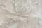 Accento Шарм (Charm) 620112