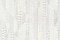 Roberto Cavalli Roberto Cavalli №8 19068