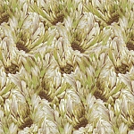 Roberto Cavalli Roberto Cavalli №9 21008