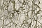 Decori-Decori Каррара 3 (Carrara 3) 84603