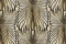 Roberto Cavalli Roberto Cavalli №8 19004