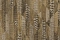 Roberto Cavalli Roberto Cavalli №8 19072