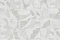 Roberto Cavalli Roberto Cavalli №9 21063