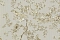Roberto Cavalli Roberto Cavalli №8 19050
