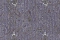 Valentin Yudashkin Valentin Yudashkin LimitEdition 84022