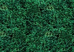 For Wall Соло (Solo) 2623P8