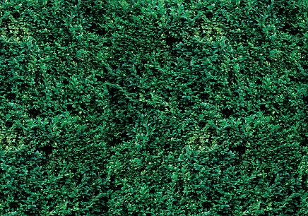 For Wall Соло (Solo) 2623P8