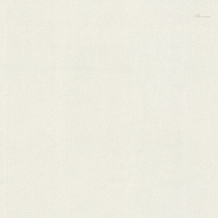Blumarine Блюмарин №6 (Blumarine №6) 31049BM