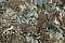 Decori-Decori Каррара 3 (Carrara 3) 84611