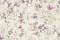 Blumarine Блюмарин №5 (Blumarine №5) 29026BM