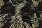 Roberto Cavalli Roberto Cavalli №9 21016