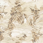 Roberto Cavalli Roberto Cavalli №9 21014