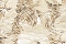 Roberto Cavalli Roberto Cavalli №9 21014